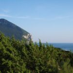 Circeo – Lazio – Camping Villaggio Nettuno – Isola Verde