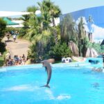 Zoomarine parco con Delfini – Torvaianica – Camping Villaggio Nettuno