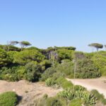 Torre Astura – Nettuno Lazio – Camping Villaggio Isola Verde